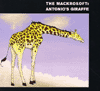 The Mackrosoft Antonio's Giraffe