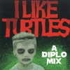 diplo I like turtles