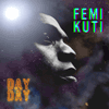 Femi Kuti Day by Day