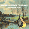 Greyboy Allstars What Happened To Television