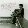 james brown in the jungle groove