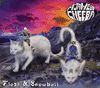 aja west and cheeba flash and snowball