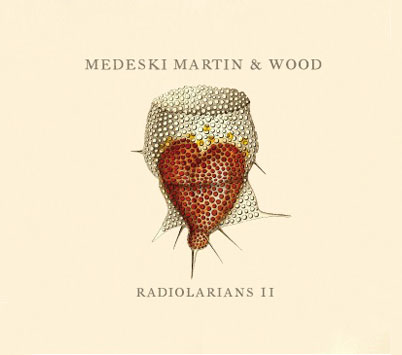 medeski martin and wood radiolarians 2
