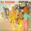 dj shadow high noon