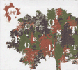 UHT Ghost Forest