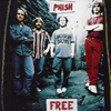 phish free promo