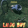 phish lawn boy