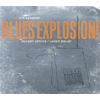 jon spencer blues explosion orange