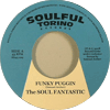 The Soul Fantastic Funky Puggin