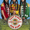 Easy Stars Lonely Heart Dub Band