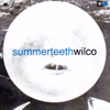 wilco summer teeth