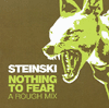 steinski nothing to fear a rough mix