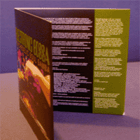 TIMEC - ELECTRONIC BOSSA LIMITED EDITION CD
