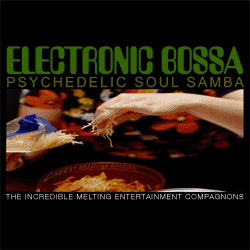 TIMEC Electronic Bossa and Psychedelic Soul Samba