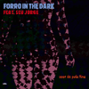forro in the dark feat seu jorge suor de pele fina