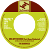 The Bamboos King Of The Rodeo