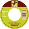 The Bamboos King Of The Rodeo
