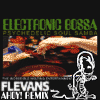 flevans vs electronic bossa and psychedelic soul samba