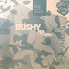 quantic bushy r's thing