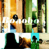 bonobo animal magic