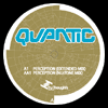quantic perception