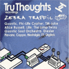 tru thoughts zebra traffic sampler