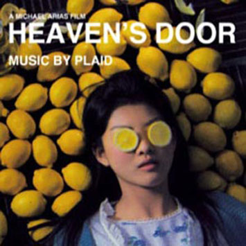 Plaid Heavens Door